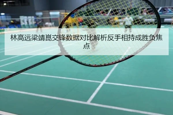 林高远梁靖崑交锋数据对比解析反手相持成胜负焦点